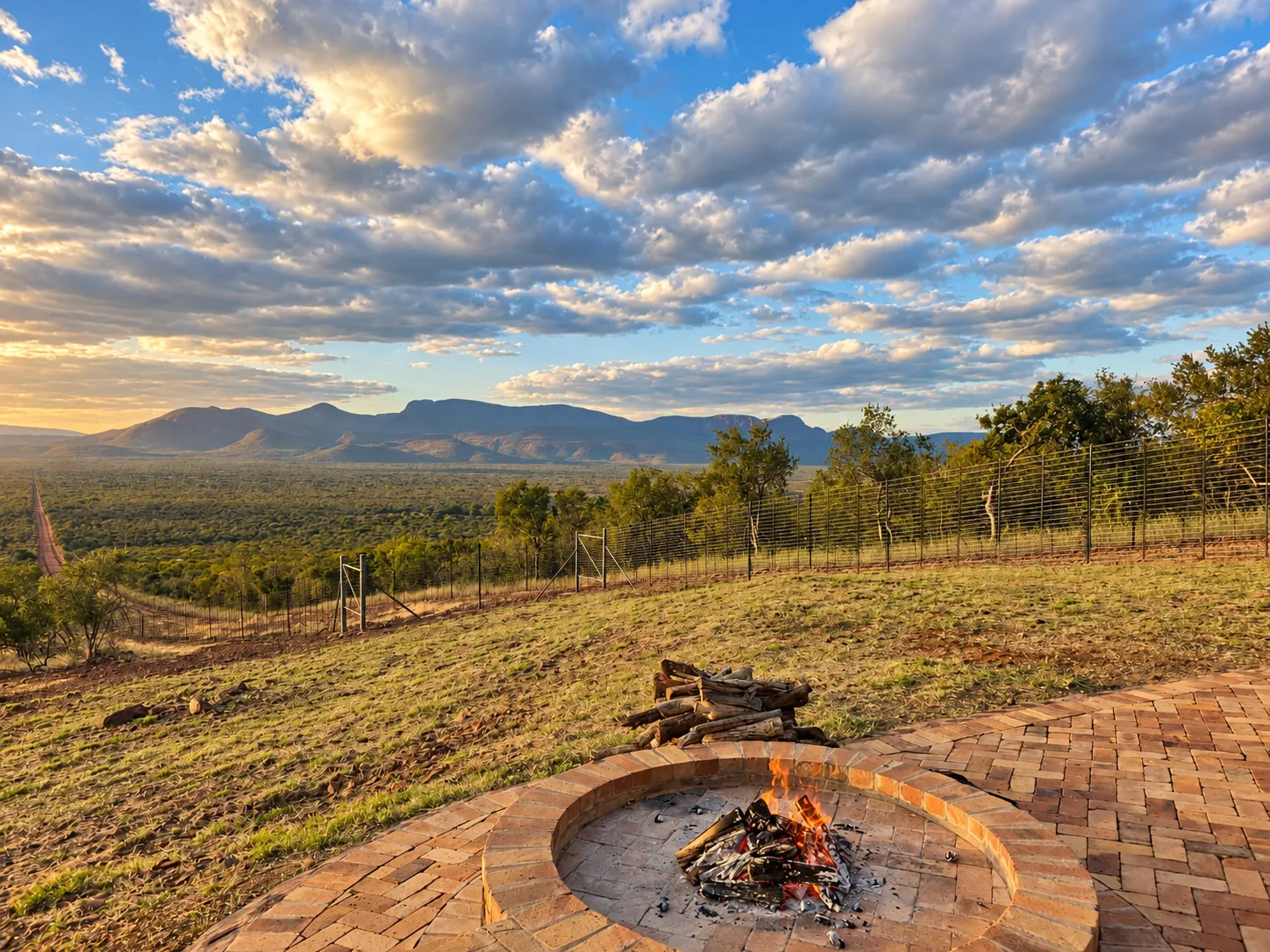 Luxury Safari